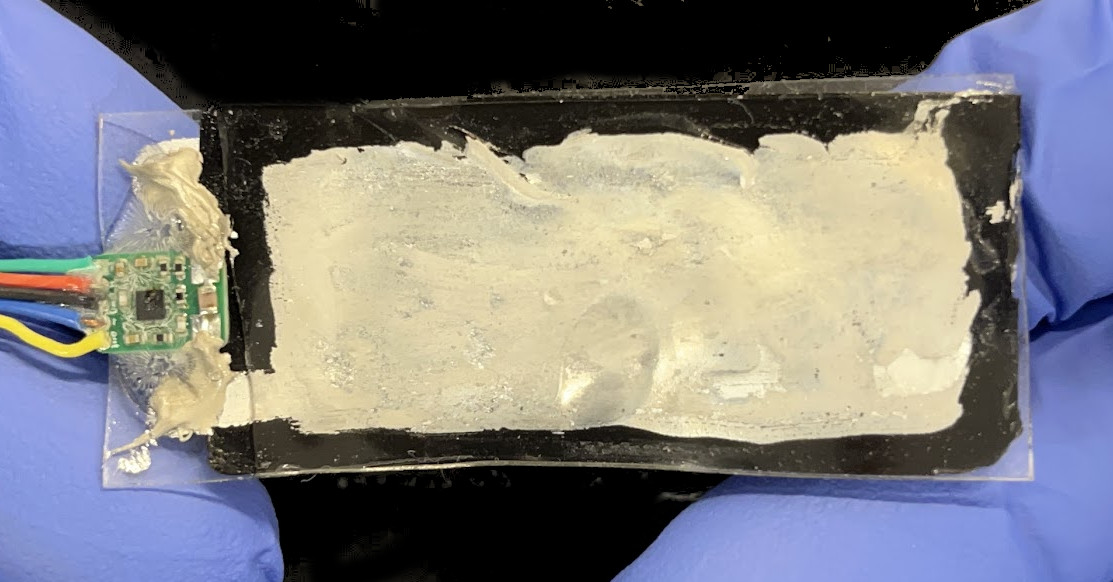 Figure 5. Fabricated Bainter sensor at zero strain. ©2025 IEEE